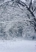 Обложка книги "Под снегом твоя Дэрин"