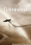 Обложка книги "Исключение"
