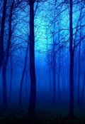 Обложка книги "Ночь всех Ночей"