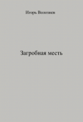 Обложка книги "Загробная месть"