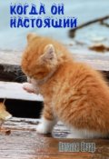 Обложка книги "Когда он настоящий"