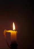 Обложка книги "Гибель"