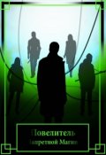 Обложка книги "Повелитель Запретной Магии"