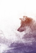 Обложка книги "Серый снег"