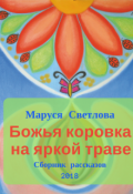 Обложка книги "Божья коровка на яркой траве"