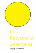 Обложка книги "Сны обыкновенного электрика. Начало."