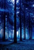 Обложка книги "Отбрасывать тень тоже надо уметь..."