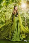 Обложка книги "Сказка о прекрасной волшебнице и о любви"