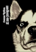 Обложка книги "Я не уверен"