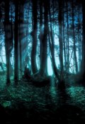 Обложка книги "Дневник поселенца"