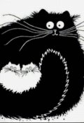 Обложка книги "Тень сомнений."