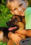 Обложка книги "Слепой пёс"