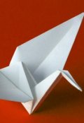 Обложка книги "Глаза ангела"