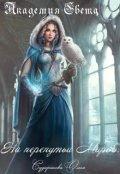 Обложка книги "Академия света. На перепутье миров"