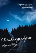 Обложка книги "Пешком до Луны"