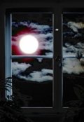 Обложка книги "Как ночью что-то бухало, ровно над нашим окном на 22 этаже."