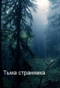 Обложка книги "Тьма странника"