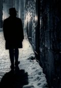 Обложка книги "За стеной"