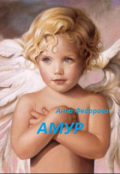 Обложка книги "Амур"