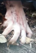 Обложка книги "Беседа с дьяволом (поэзия)"