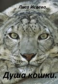 Обложка книги "Душа кошки."