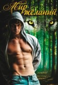 Обложка книги "Мир Желаний"