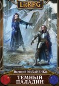 Обложка книги "Темный Паладин. Книга первая: Начало"