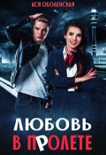 Обложка книги "Любовь в полете"