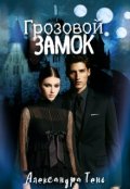 Обложка книги "Грозовой замок"