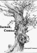 Обложка книги "Бывай, Сокол!"