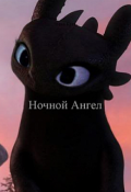 Обложка книги "Ночной Ангел"