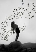 Обложка книги "Принцесса птичьего королевства. "