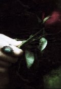 Обложка книги "Враний град"