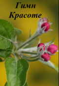 Обложка книги "Гимн красоте"
