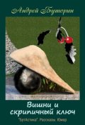Обложка книги "Вишни и скрипичный ключ"