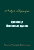 Обложка книги "Урочище Огненных духов"