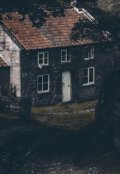 Обложка книги "Свет на чердаке"