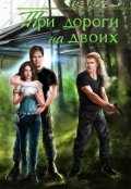 Обложка книги "Три дороги на двоих"