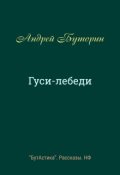 Обложка книги "Гуси-лебеди"