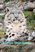 Обложка книги "Химера Поцелуевых"