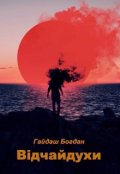 Обложка книги "Відчайдухи"