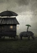 Обложка книги "Подселенец."