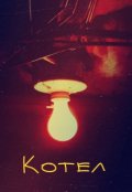 Обложка книги "Котел"