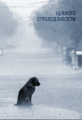 Обложка книги "Немного справедливости"