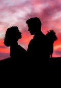 Обложка книги "Fever"