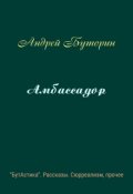Обложка книги "Амбассадор"