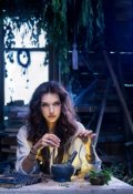 Обложка книги "Служение Мертвому Королю 1 часть."