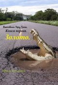 Обложка книги "Волшебники. Через Грань. Книга первая. Золото."