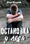 Обложка книги "Остановка у леса"