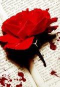 Обложка книги "Соколовы: начало."